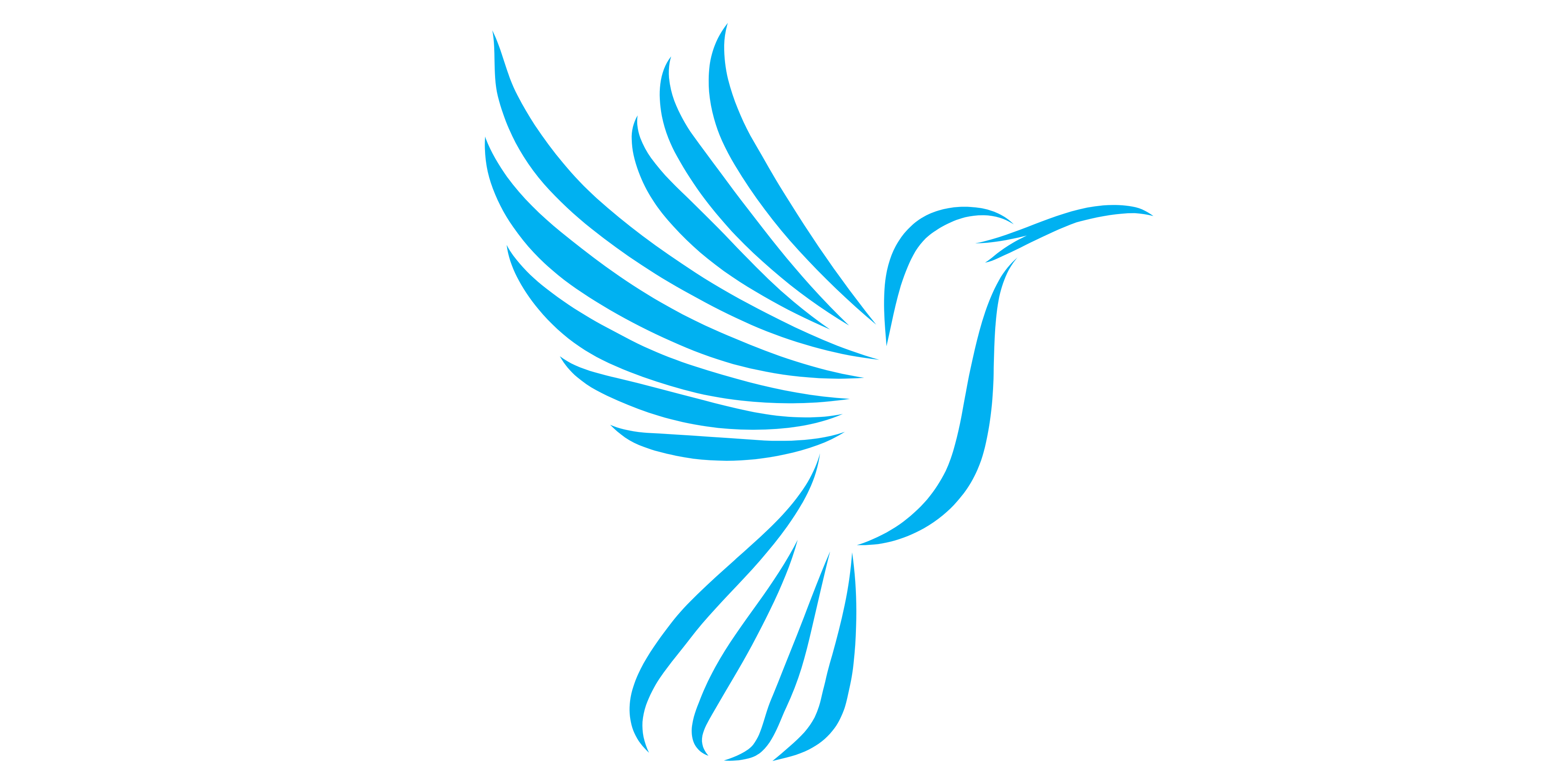 Hummingbird Drone Wash